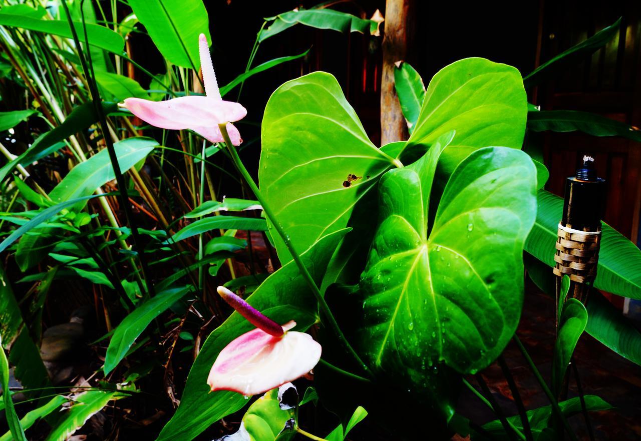 Punta Duarte Garden Inn Los Duarte Exteriér fotografie
