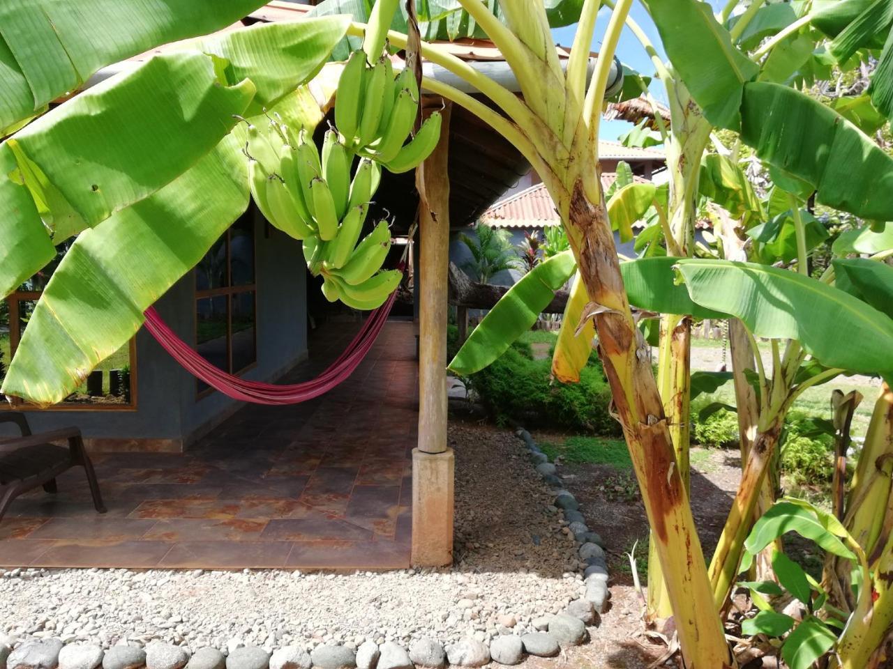 Punta Duarte Garden Inn Los Duarte Exteriér fotografie
